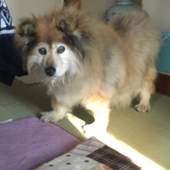 F3eb52e3 3f00 4fd4 992f e90b51be31c7 1560698101732