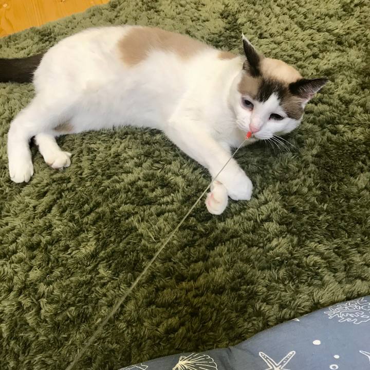 F3eb6fae 56a1 4aff b093 478795222267 1572947999768