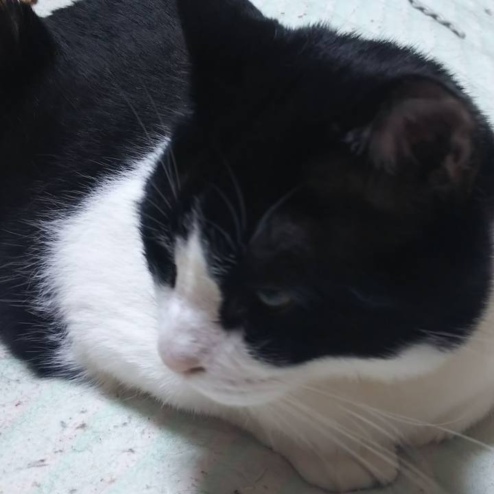 F3eb78d3 fe10 4a25 8038 b2005a008d44 1559945601865