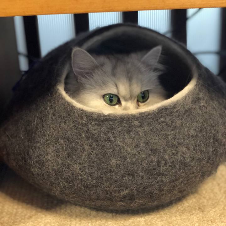 F3eb830f 2130 4ded 8068 2a17c2893b04 1583144590218