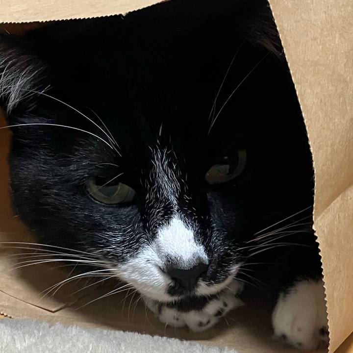 F3eb8835 826a 45cd 9a44 53597b3bd600 1717839333446