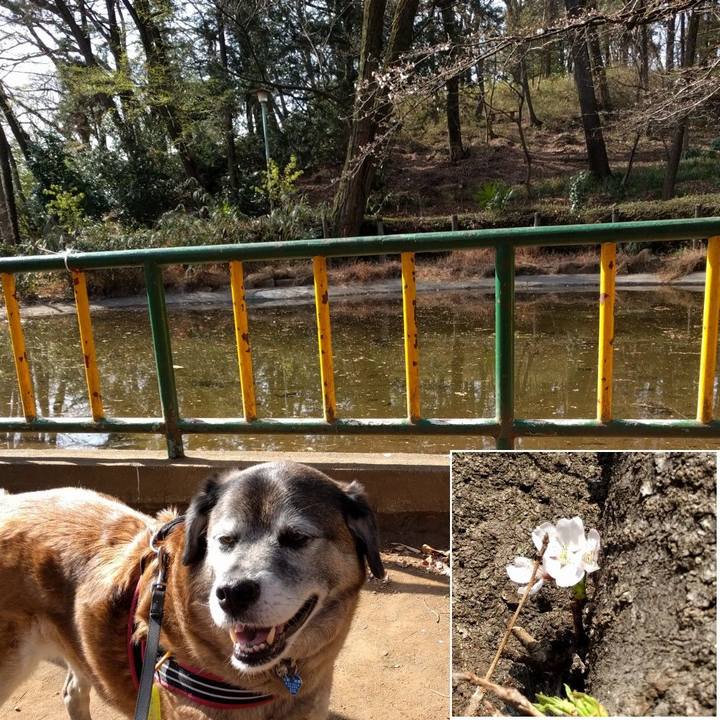 F3eb8dd6 37d1 413c a6a2 88a2e766aadc 1553213586282