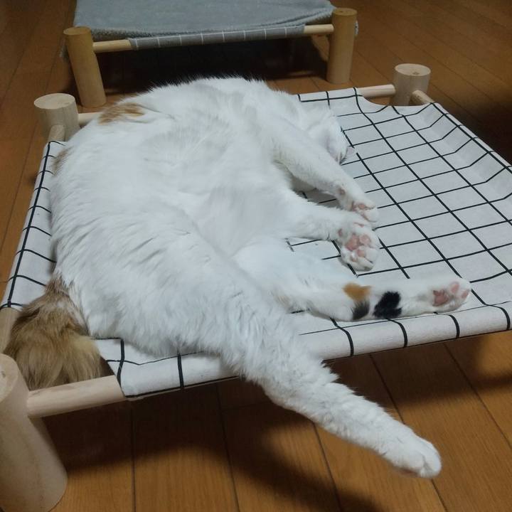 F3ebbb3e a72a 430d a1dd f2c668625619 1710925102518