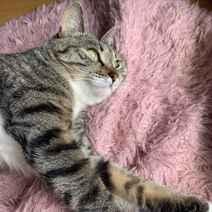 F3ebf2c3 a412 427c b9cc 949343d8299d 1567176119331