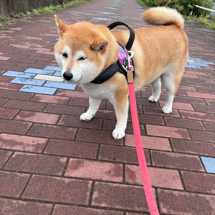 F3ec263c 49bc 4af9 abae 630ac285089b 1683512364067