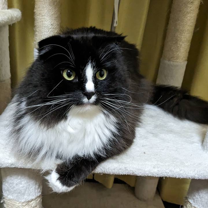 F3ec3081 6f5d 4401 9662 6e7d3baee749 1708179742812