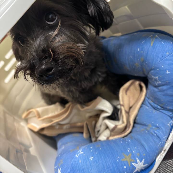 F3ec4415 ecde 44f8 925d 4c522123ef5b 1770390083283