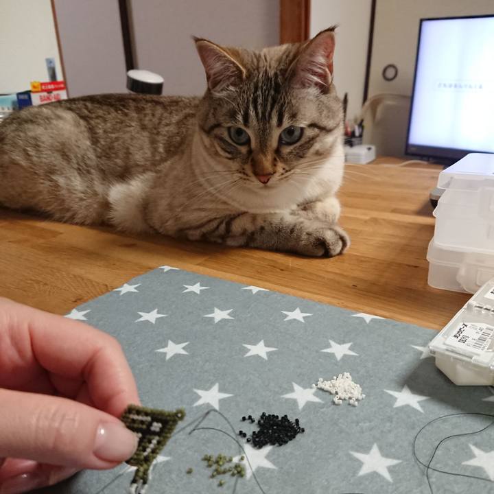 F3ec646b ee18 4b37 9358 3eef63da5cc7 1558006797577