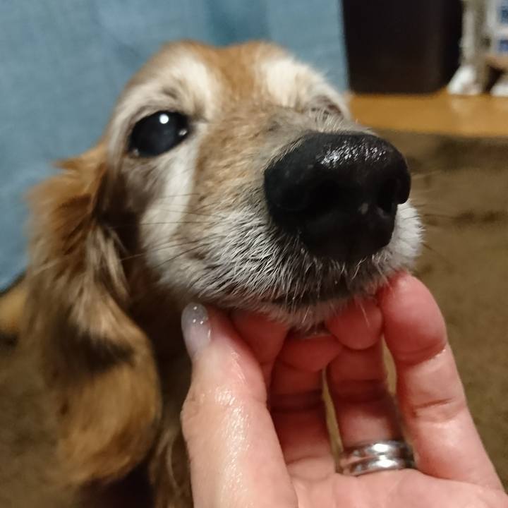 F3ec6b89 4513 4a53 80c5 4c4cf6fd8377 1517911267317