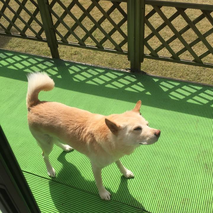 F3ec6bdc 3b0e 4483 ad11 39e9c3184f77 1521338377185