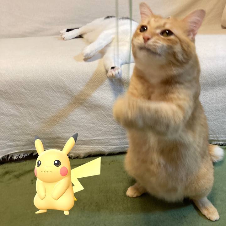 F3ec6d54 0cc8 4adf 890f 7cc57aba72ff 1770550212900