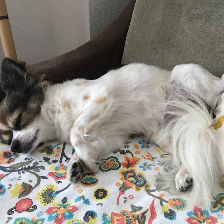 F3ec6fe6 a47e 4d94 9087 9b9577a3dea4 1535589773718