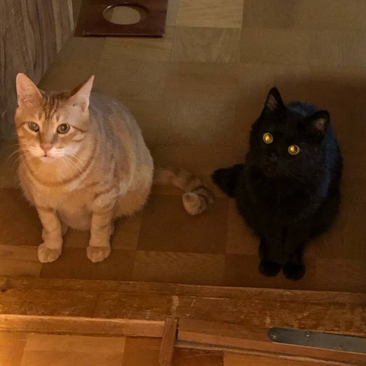 F3ecbb36 54e5 4680 9690 b18ca2994dd9 1567772954023