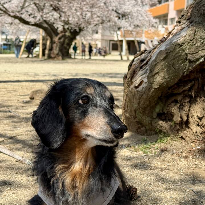 F3ecf152 f0df 46a0 b486 0412a87427f3 1759320120588