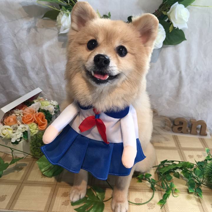 F3ecf49c 8f8f 404c bbe7 c4600a543a89 1586572198005