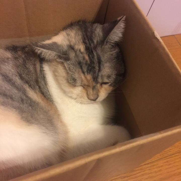 F3ed141e ada3 4d64 9738 db1c45195c7a 1570297167787