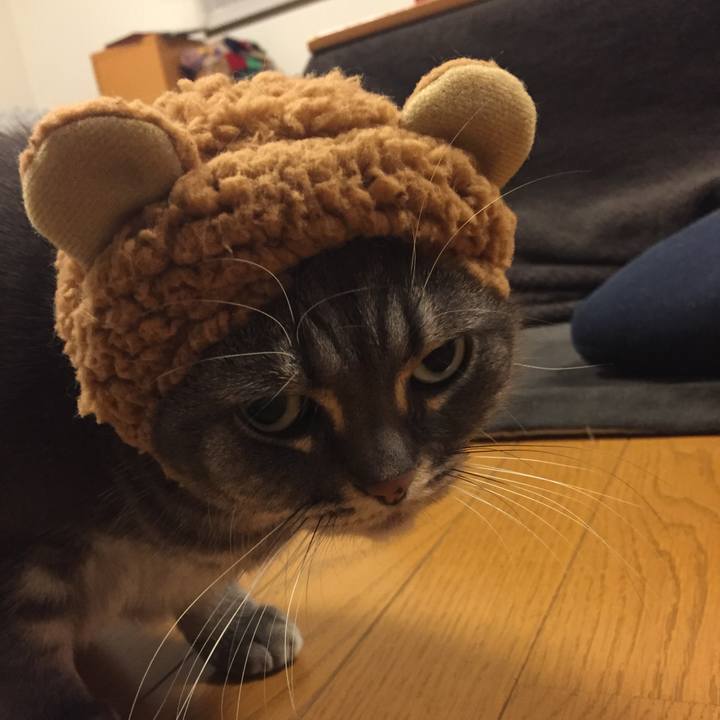 F3ed1d6c 4360 453e a5fb 963351c72869 1515334666650