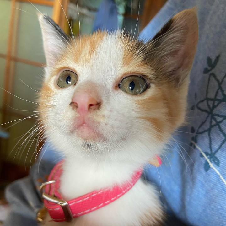 F3ed9d2b 7c86 4165 ae46 b995ff15db8a 1629432135595