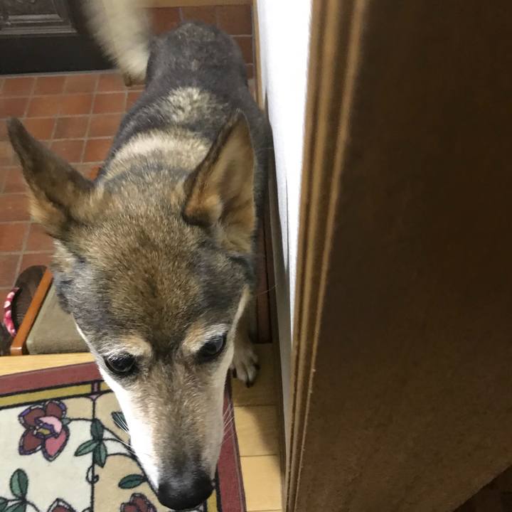 F3eda9e4 a6bf 4642 ac73 c0c2c7610cd0 1531996050923