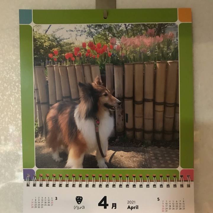 F3edcde3 a7cf 4bdc 9be3 c0100f32e8c0 1618752284903