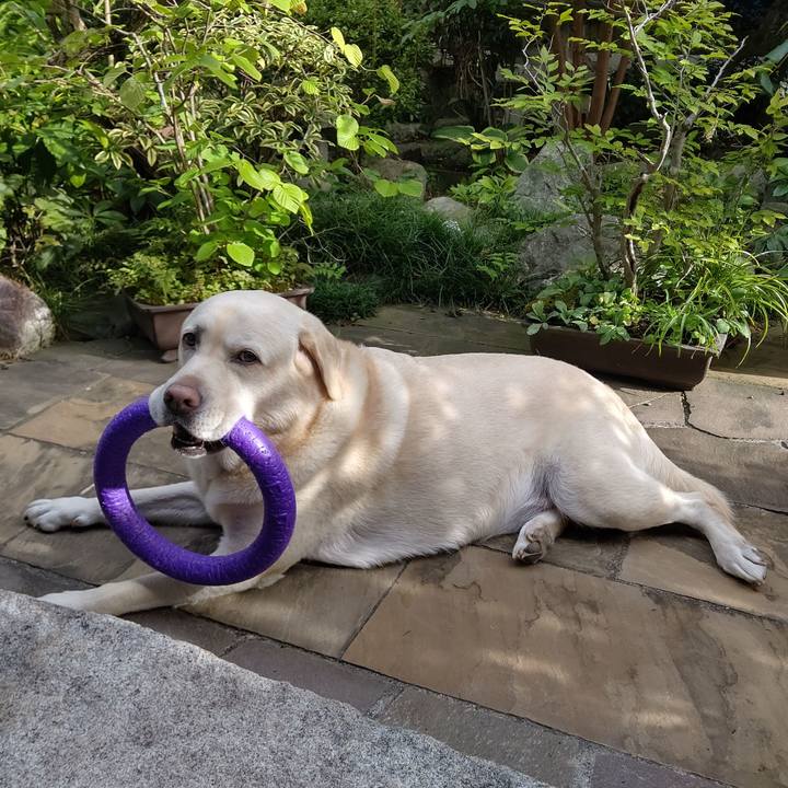 F3ede27d 4774 43ab 9799 d5d034badb07 1695622123392