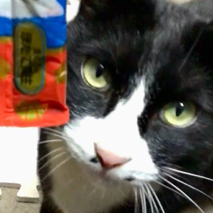 F3edf91b 5c27 4fae 93a7 ad86567c544d 1741521071420