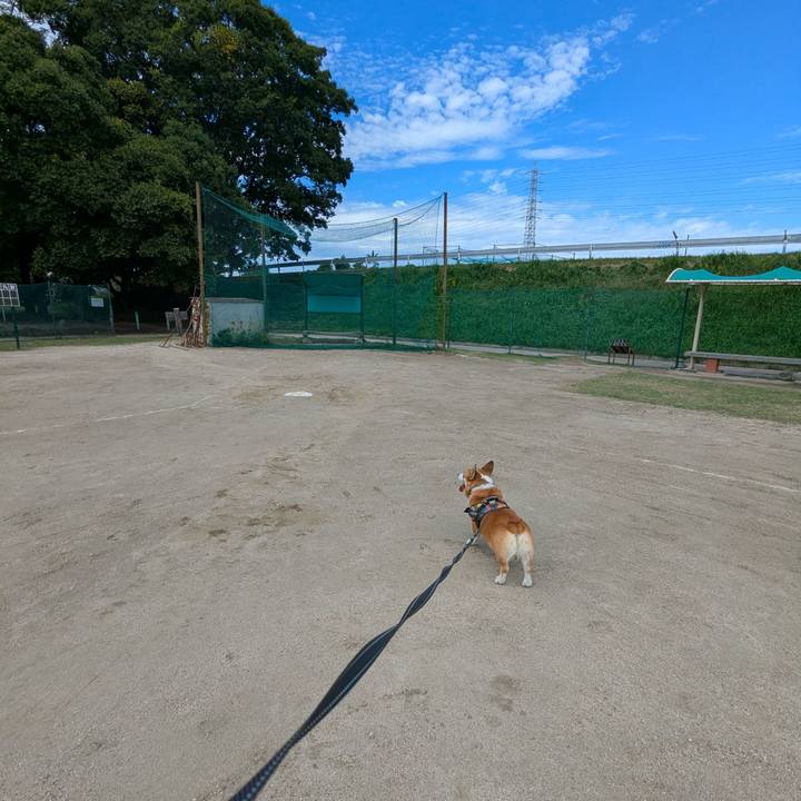 F3ee3840 5587 46ce 835b 380f0e4a3d1d 1761289672234