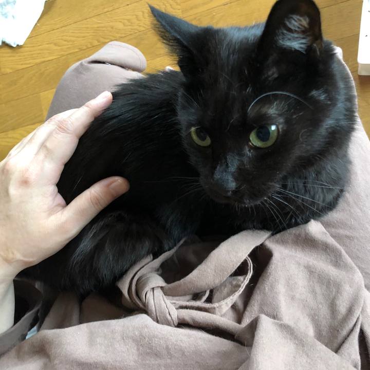 F3ee4fe3 02ce 439c 88e3 85b95692aba1 1598822196856