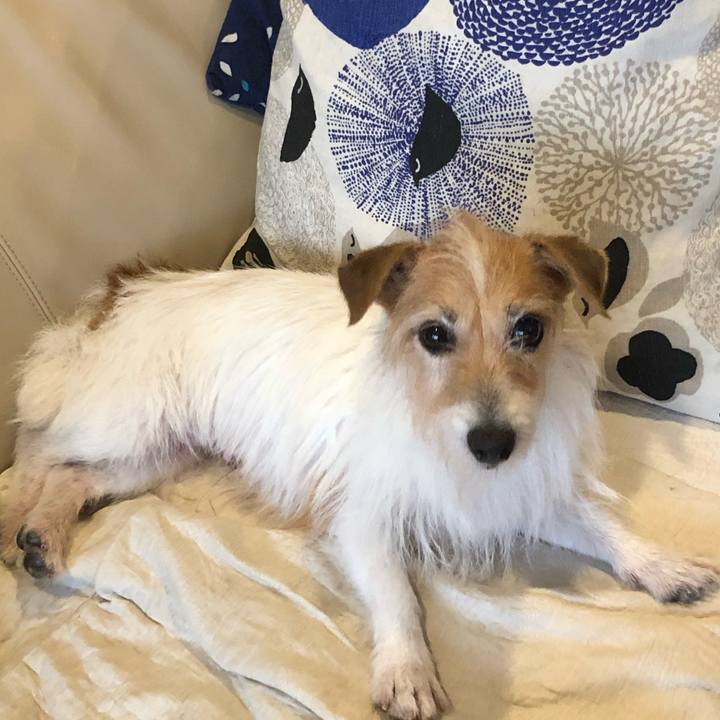 F3ee527f 66f4 4e13 a0a1 d704acbdfbb2 1604903347733