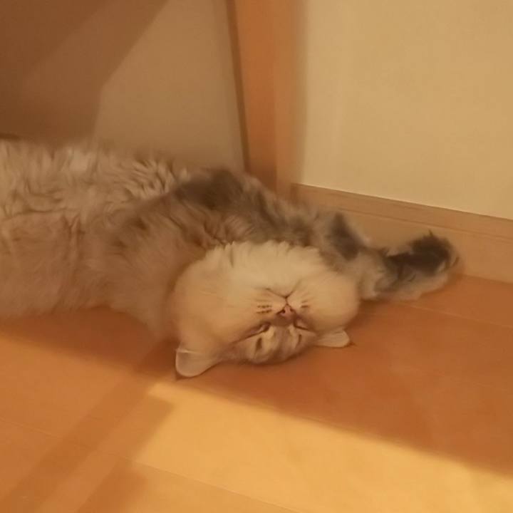 F3ee5822 72dc 4233 a080 9f74afc4b318 1569799648842