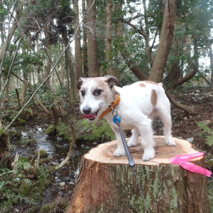 F3ee8cbc e712 488e 84a1 cc68908b0ba7 1521790484732