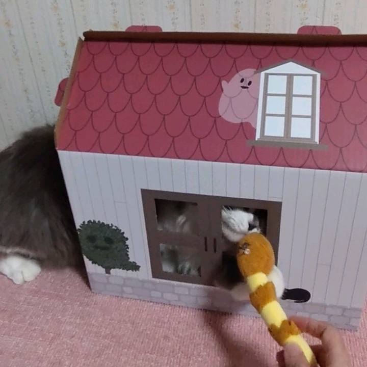 F3ee8f35 fcad 42bc b831 9ab4c736305e 1661341819265