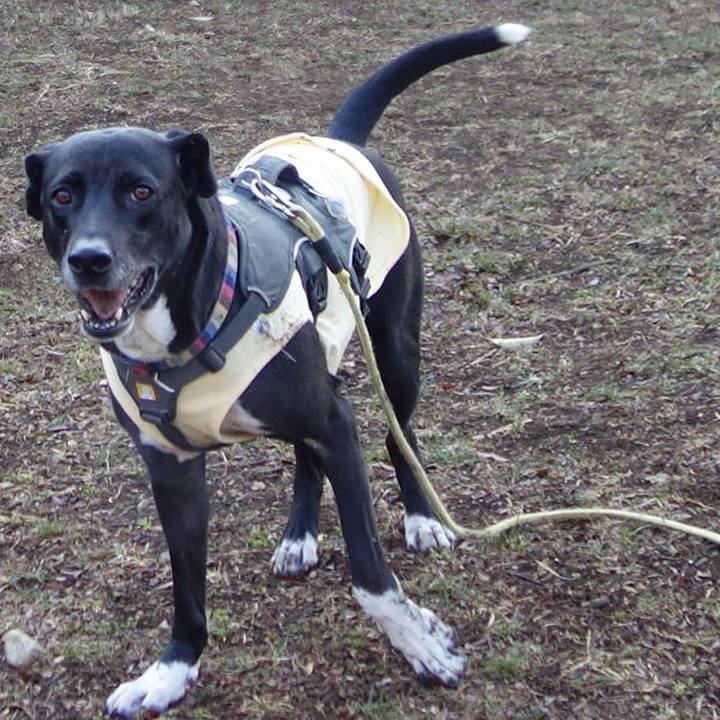 F3eeae71 2853 4fba b9fa aa17291e9420 1646096927157