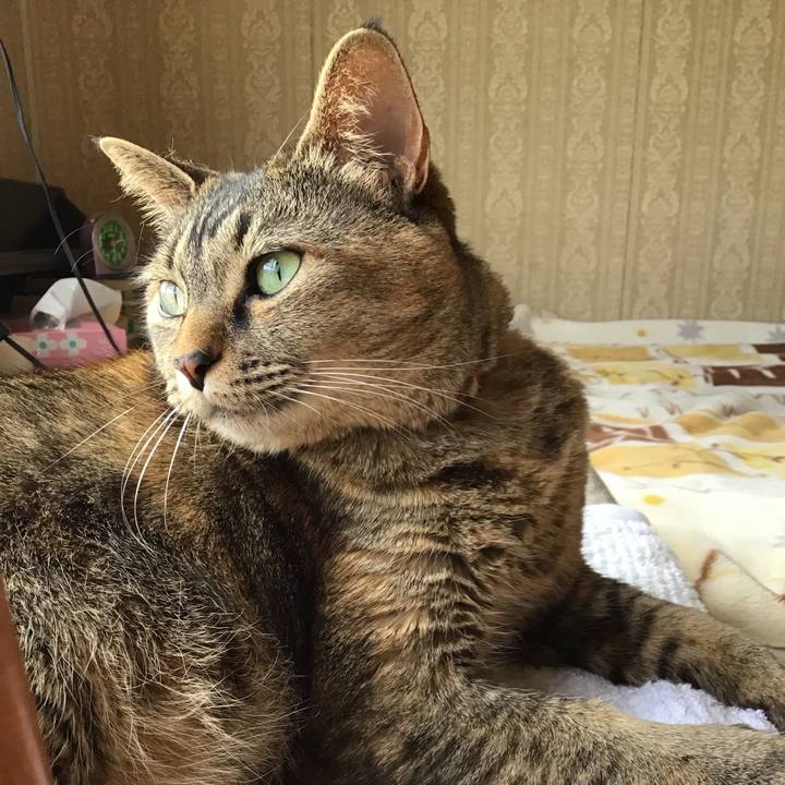 F3eeb431 3926 4abe 8067 a82421a37435 1682766858127