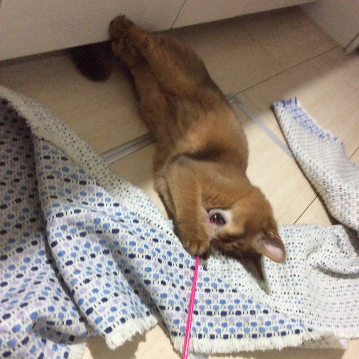 F3eeba7e 8077 438d a950 aac3ee7d8bb7 1585752729570