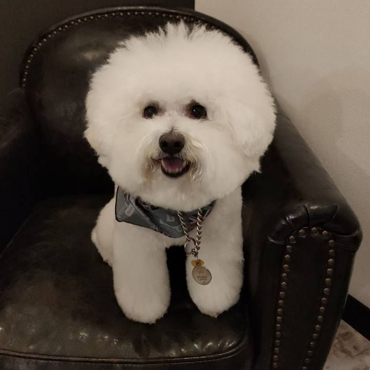 F3eec5a6 05ef 4208 a5af 464d133ec6d6 1765155421063