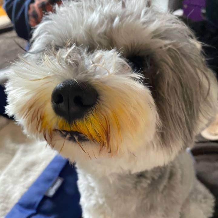 F3ef3b72 0994 493f 9eb8 d40323b530e9 1617155379796