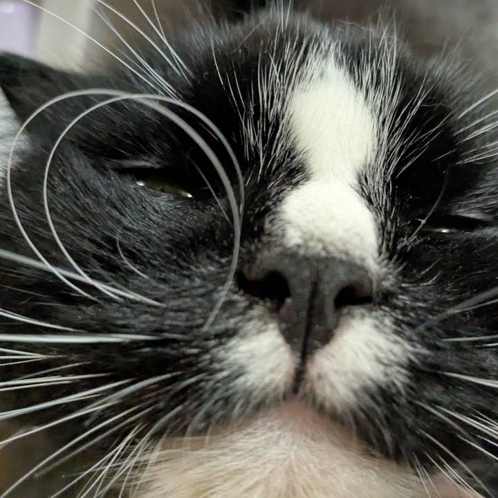 F3ef3e65 e390 4ecf be7a 948d761fc3fb 1757759204554