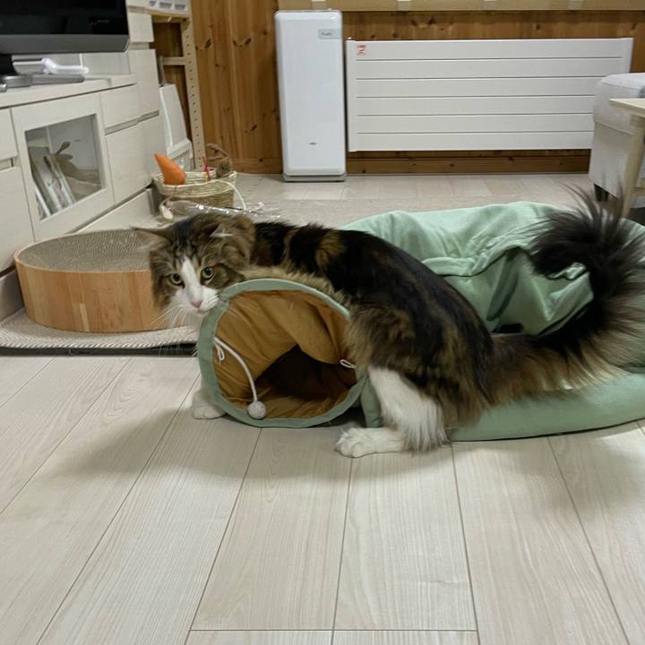 F3ef5c2d 8e7e 4cb1 afaf 28dbffa61d55 1679255007422