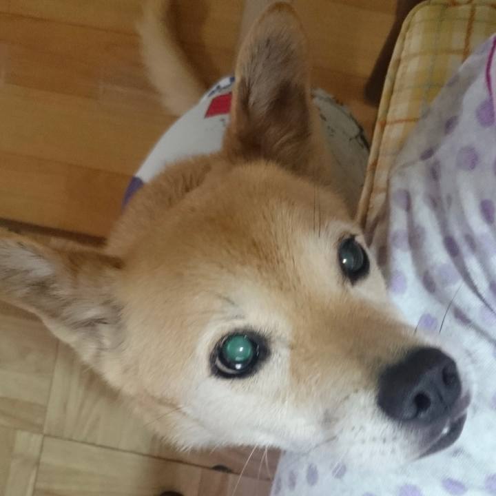 F3ef62c3 fe06 42ff aad2 4711b8f8178d 1608391504912