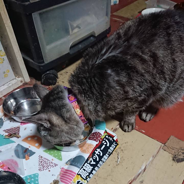 F3ef63b9 64cf 4888 bcf0 ee1e83963c10 1587931055311