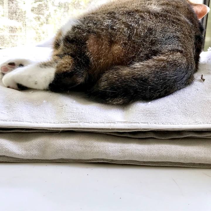 F3ef667f c6d1 4edf a8ed ff1d81439683 1526456109092