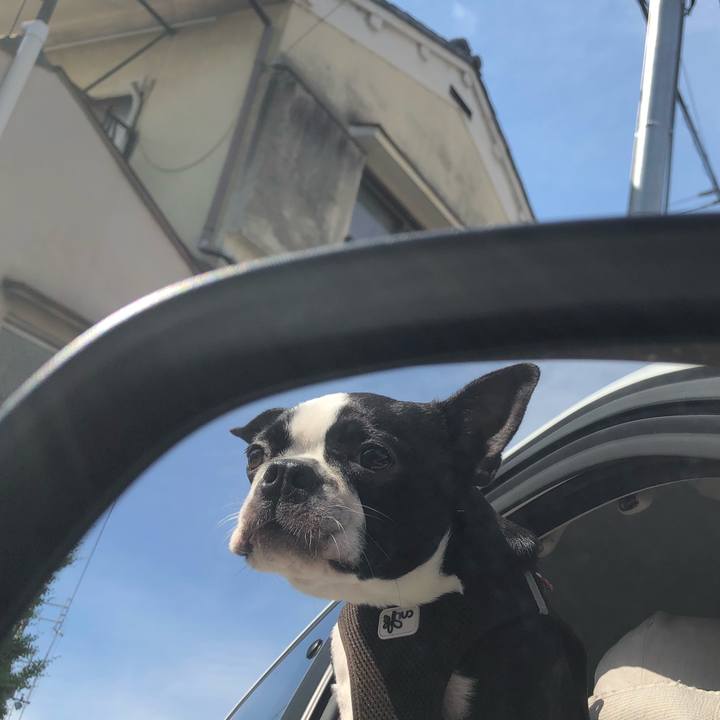 F3ef8615 e858 4944 95c5 a848c9ad4ce0 1527049040173