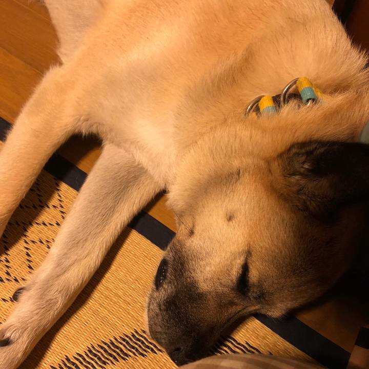 F3ef9a02 6b9d 4f4d b984 26a31ccd38af 1625058722439