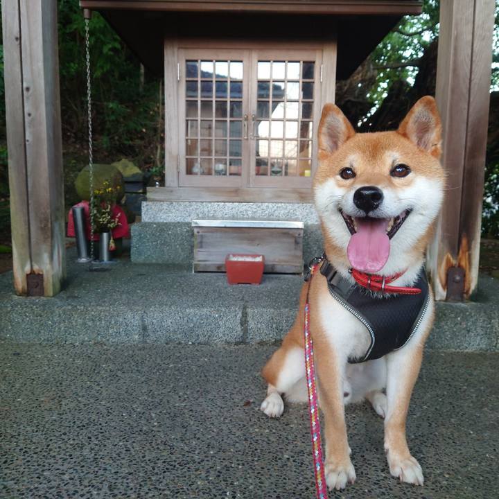 F3ef9b37 3667 4a64 ab99 5483e3de0d24 1757627660101