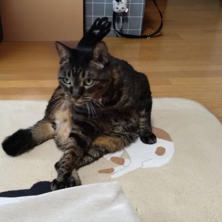 F3efb36e 5c39 4522 a25d 12faec69f974 1759733310084