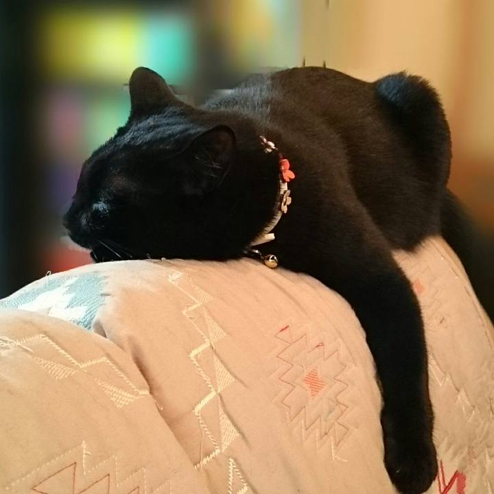 F3efbd5e acc9 4a77 aeea 20c56e65944c 1529639197087