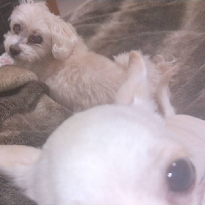 F3efc506 3a79 40cd ae95 dfa3bdaff2f6 1708426369732