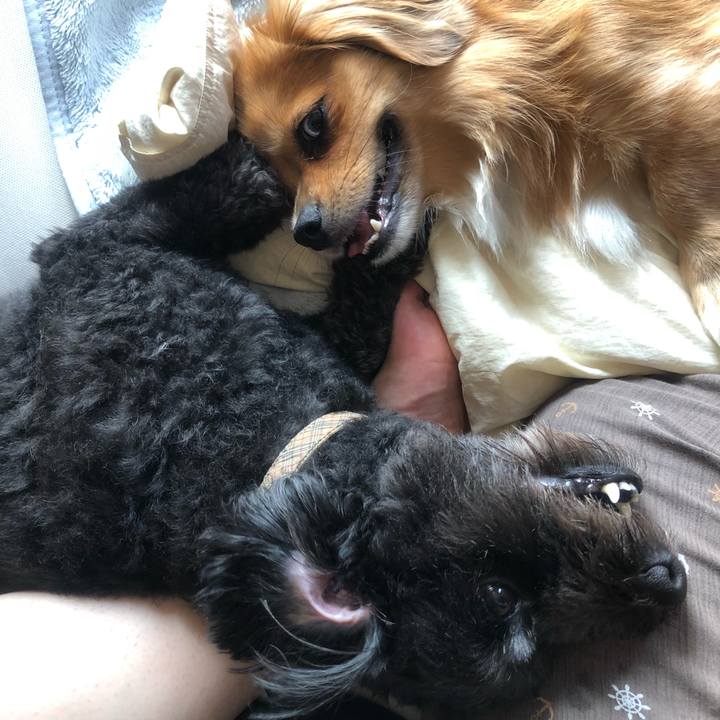 F3f0536f 5c19 43ca bf91 0b7807d1524b 1534038559037