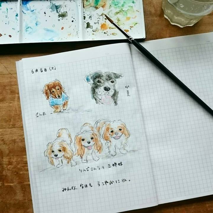 F3f05efe 9aac 4f66 b344 880ad13e91db 1559954438023